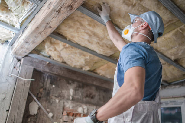 Best Insulation Materials and Products in Level Park Oak Park, MI