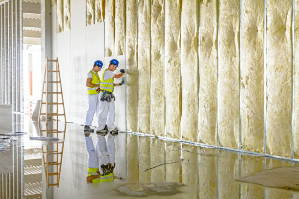 Best Commercial Insulation in Level Park Oak Park, MI